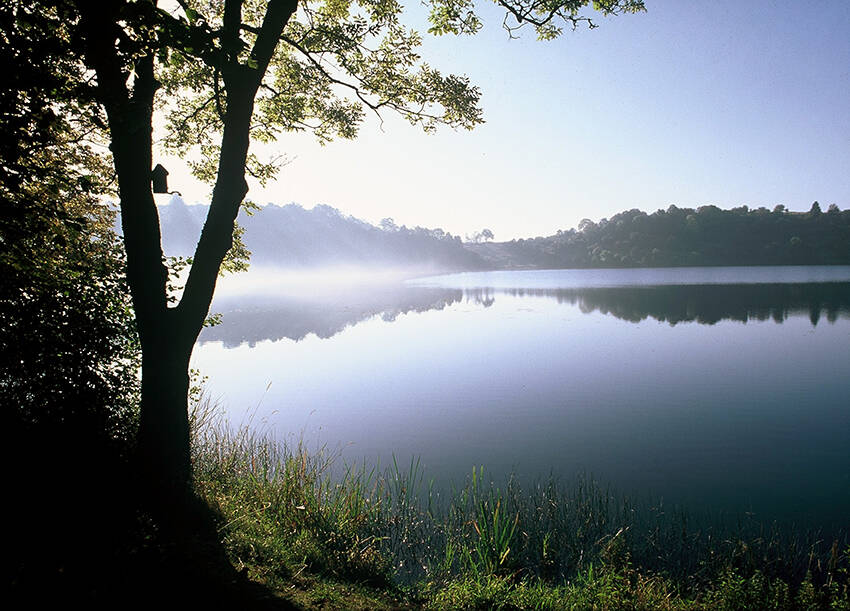 Wanderung um das Schalkenmehrener Maar in der Eifel im Morgengrauen