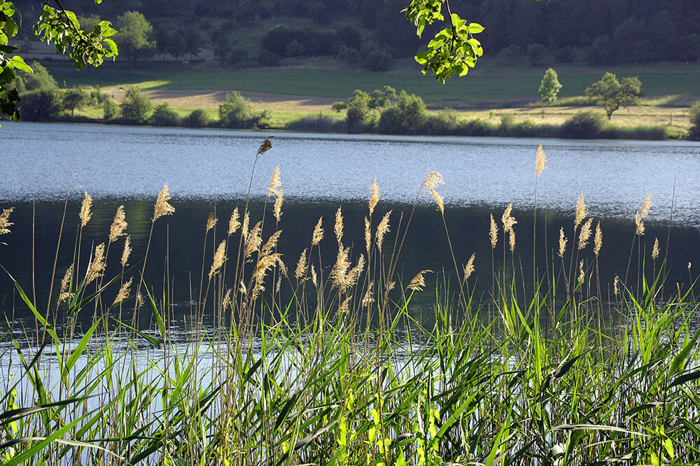 Aktivurlaub mit Wandwegen am Schalkenmehrener Maar in der Eifel